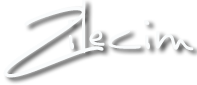zilecim web tasarım